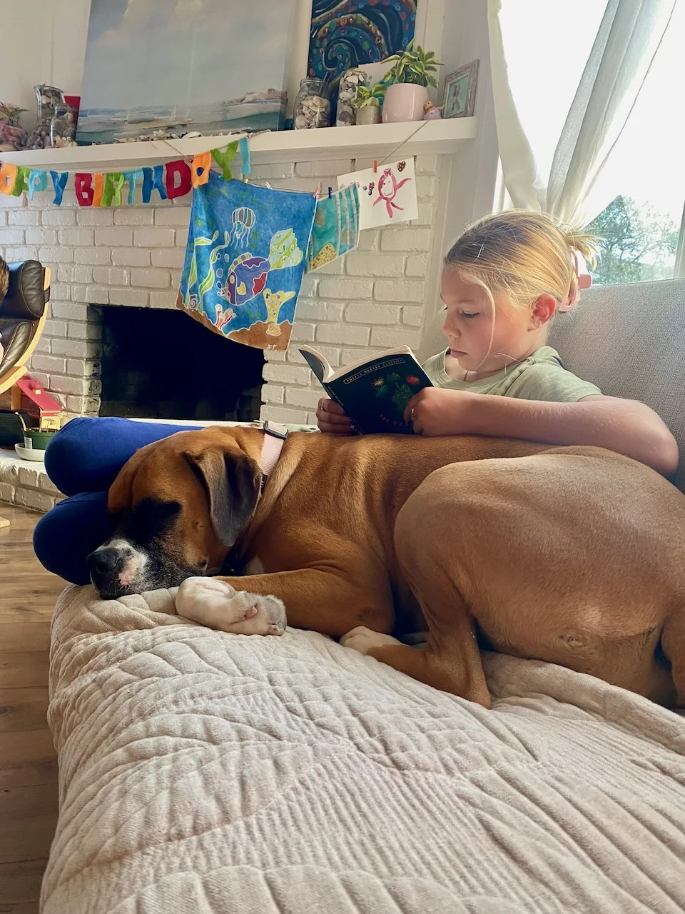 Ivy reading beside a sleeping boxer